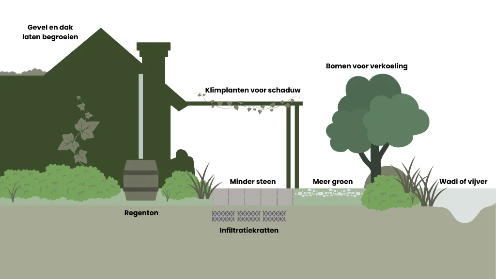 Illustratie van maatregelen in een klimaatadaptieve tuin zoals gevelbegroeiing, regenton, infiltratiekratten, bomen en wadi