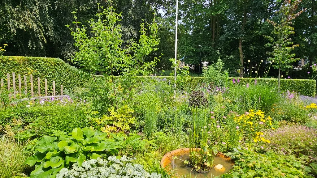 Bloeiende voortuin in Ugchelen eind juni