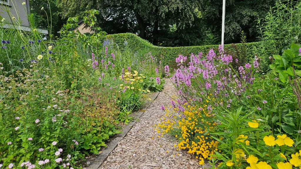 Weelderige border met bloeiende planten eind juni